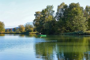 Fotos vom Tachinger See