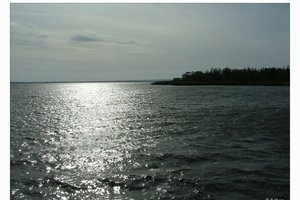 Fotos vom Jezioro Dąbie
