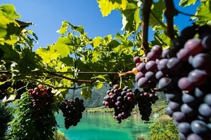 Weinregion Südtirol am Kalterer See