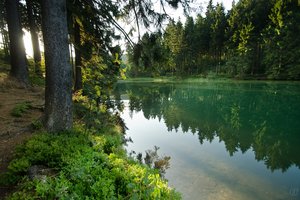Fotos vom Oberer Grumbacher Teich