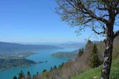 Blick auf der Vogelperspektive auf den Lac d'Annecy