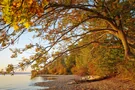 Herbstliche Stimmung am Starnberger See