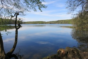 Fotos vom Lütauer See