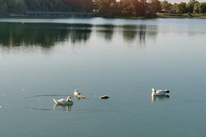 Fotos vom Schloßsee