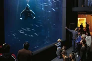 Müritzeum Aquarium