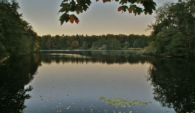 Blick auf den Bramfelder See Bramfelder See