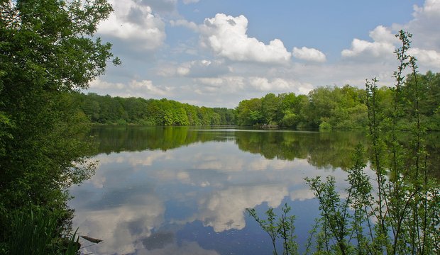 Der Bramfelder See in seiner ganzen Pracht Bramfelder See