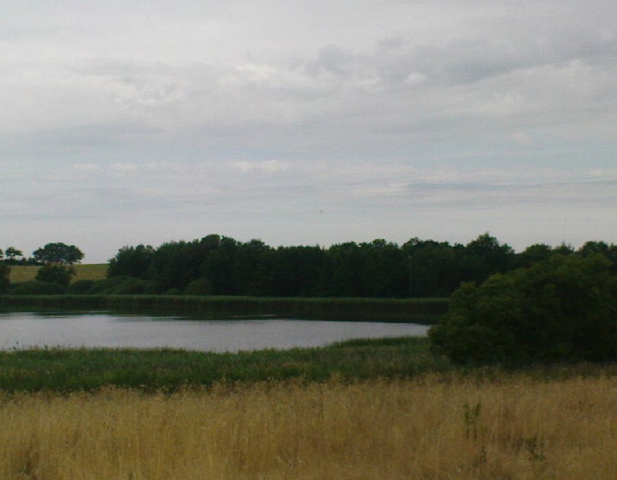 Fotos vom Dippelsdorfer Teich