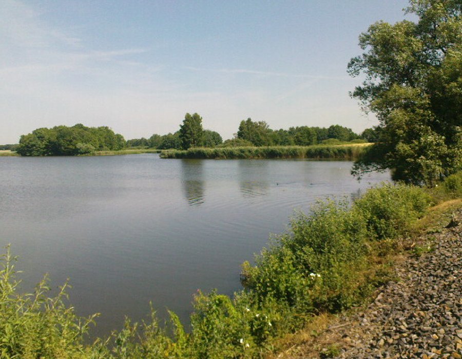 Fotos vom Dippelsdorfer Teich