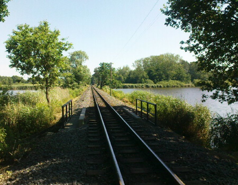 Fotos vom Dippelsdorfer Teich