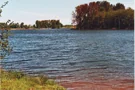 Erlensee