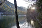 Thumsee