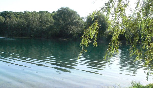 Natur am Fühlinger See Fühlinger See