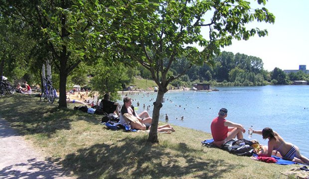 Bäume am Nordstrand Nordstrand