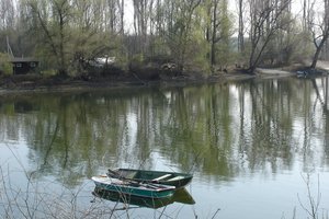 Fotos vom Otterstädter Altrhein