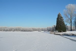 Fotos vom Torfmoorsee