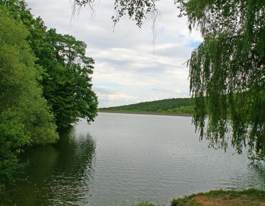 Fotos von der Steinbachtalsperre | Seen.de