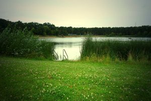 Fotos vom Waldschwimmbad Rüsselsheim