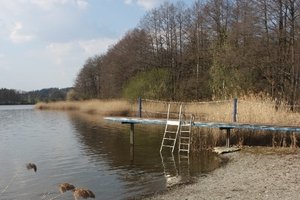 Fotos vom Ellerazhofer Weiher