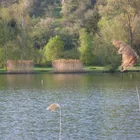Plüderhausener See