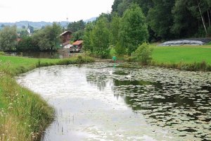 Fotos vom Widdumer Weiher