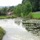 Widdumer Weiher