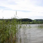 Niedersonthofener See