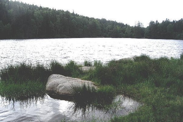 Fotos Vom Grosser Gaisweiher Seen De