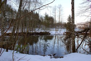 Fotos vom Zwingsee