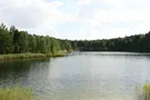 Waldsee Groß Düben