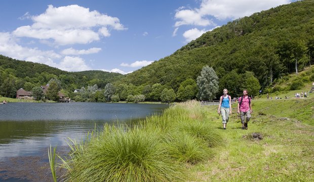Waldsee Rieden Waldsee Rieden