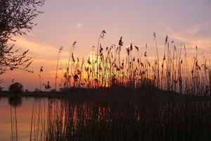 Wer schützt den See?