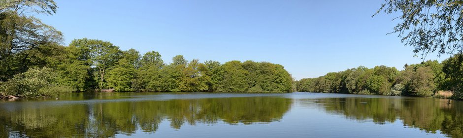 Bramfelder See Headmotiv