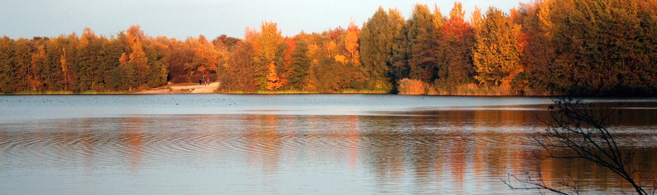 Heidesee Headmotiv