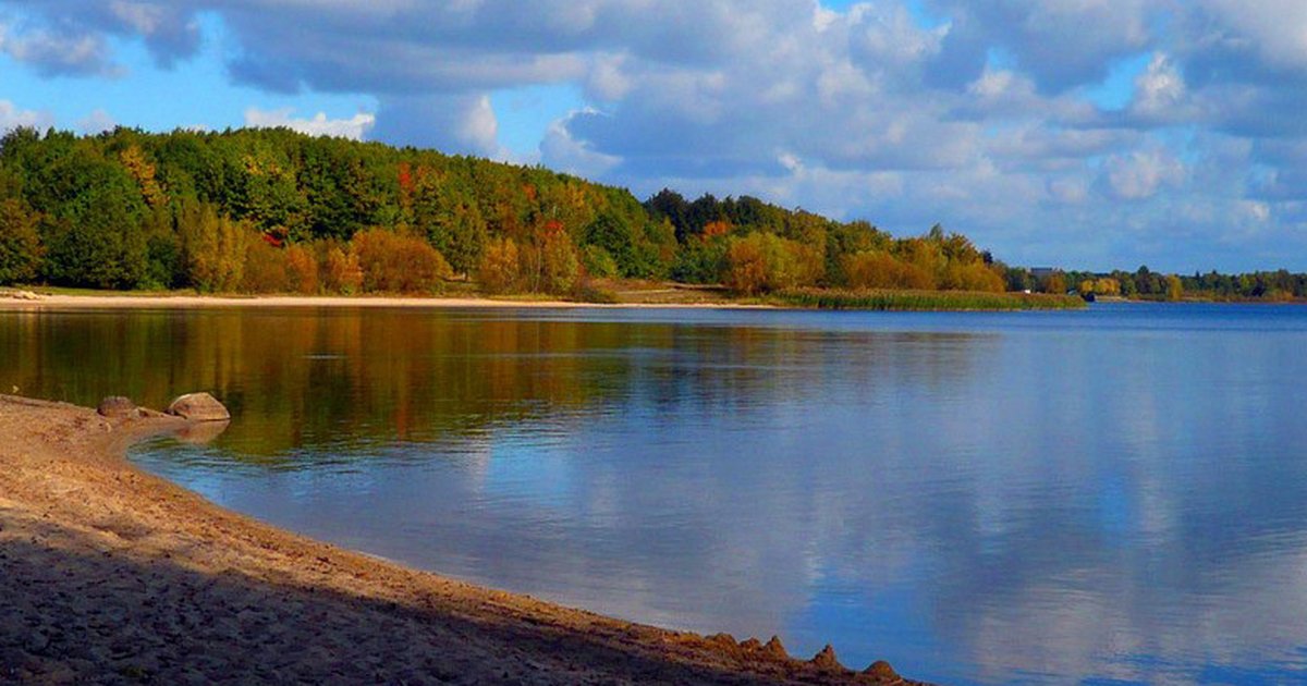Senftenberger See