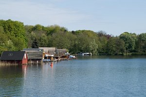 Fotos vom Ziegelsee