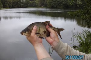 Fotos vom Ahrensdorfer Teiche