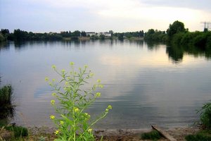 Fotos vom Biesdorfer Baggersee