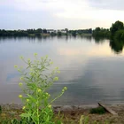 Biesdorfer Baggersee