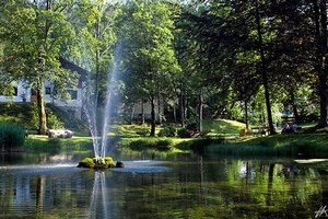 Fotos vom Wiedemannweiher