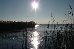 Fotos vom Zuidlaardermeer