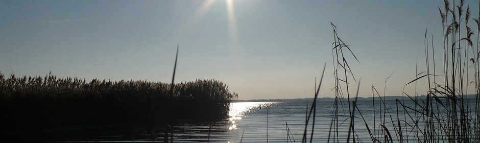 Zuidlaardermeer Headmotiv