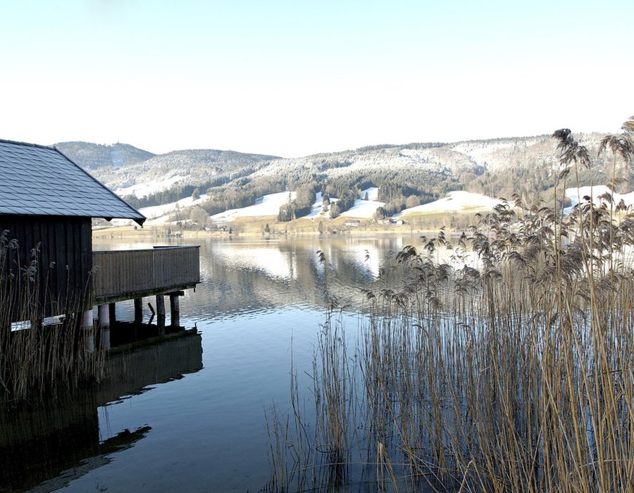 Fotos vom Irrsee Seen.de