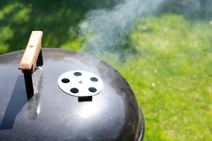 Grillen am See - Die Grillwahl