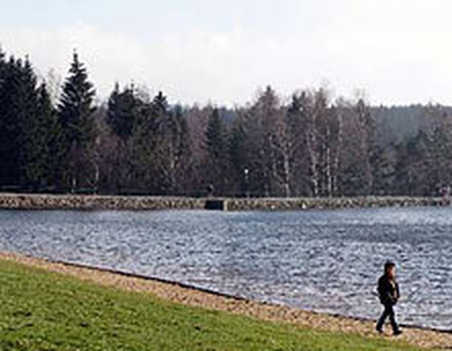 Fotos vom Geyerscher Teich Seen.de