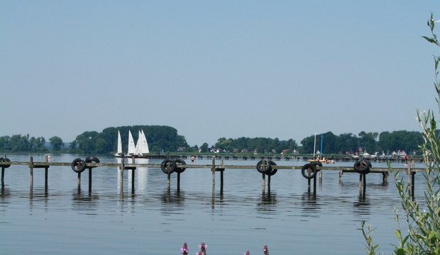 Blick auf den Dümmer Dümmer