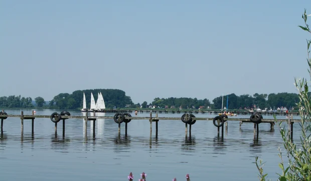 Blick auf den Dümmer Dümmer