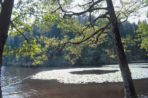 Fotos vom Schlüchtsee