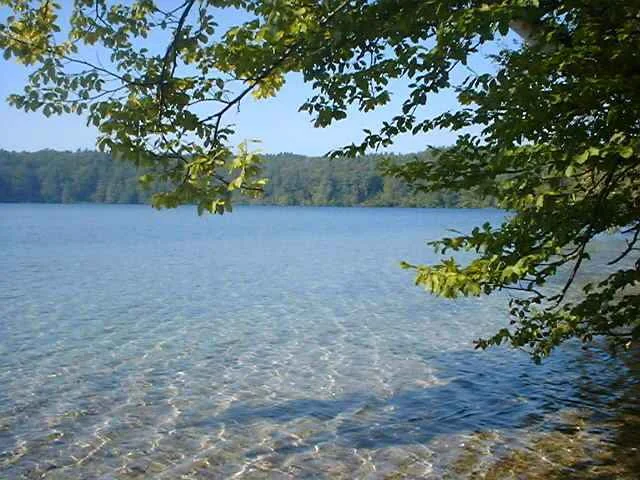 zelt schnellaufbau stehhöhe Wasserdichtes Pop-Up-Zelt für 3-4 Personen mit Tragetasche — Yorbay.de