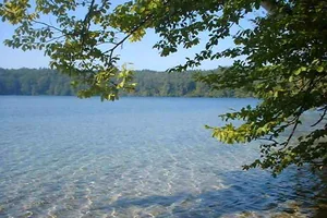 Wandern am Großen Stechlinsee